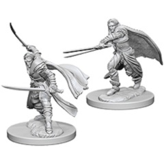 D&D Nolzur's Marvelous Unpainted Minis: Elf Male Rangers (pack of 2)